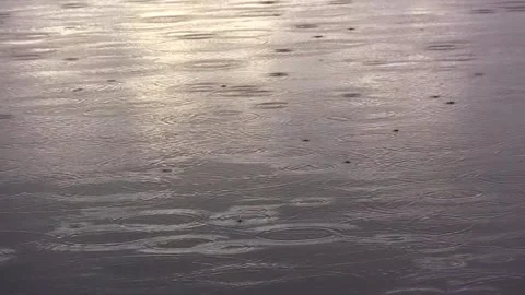 Moderate light rain falling on water surface, evening light Stock Footage 264786572