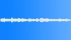 Moderate Museum AmbienceSound Effect