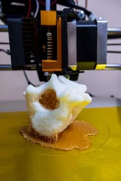 Modern 3D printer printing figure close-up macro 3d printer prints a vertebra Stock Photos
