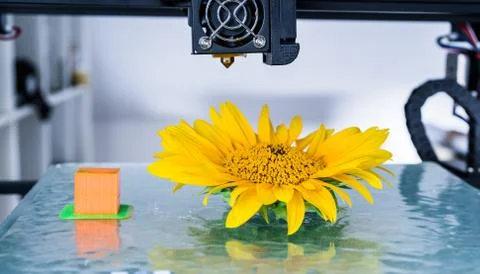 Modern 3D printing. 3d printer mechanism working during the processes. Stock Photos