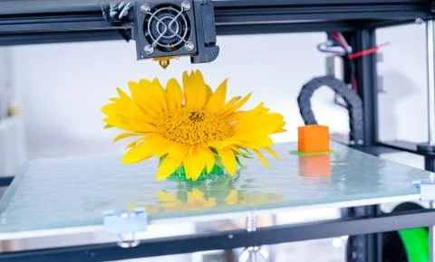 Modern 3D printing. 3d printer mechanism working during the processes. Stock Photos