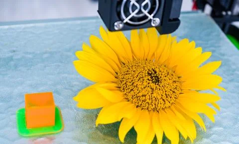 Modern 3D printing. 3d printer mechanism working during the processes. Stock Photos