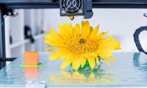 Modern 3D printing. 3d printer mechanism working during the processes. Stock Photos
