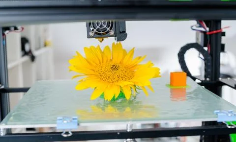 Modern 3D printing. 3d printer mechanism working during the processes. Stock Photos
