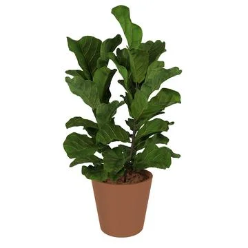 Modern 3D rendering of a vibrant indoor plant in a pot Stock Photos