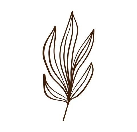 Modern abstrac leaf of hand drawn shapes and doodle design elements. Exotic 스톡 일러스트