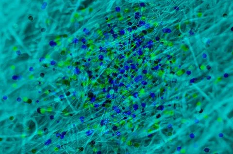 Modern abstract background featuring grainy and natural elements soft textu.. Stock Photos