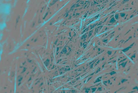 Modern abstract background featuring grainy and natural elements soft textu.. Stock Photos