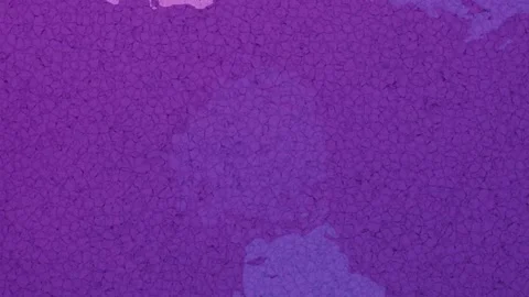 Modern Abstract purple texture animation with a distressed cracked pattern .. Stock Footage 317178062