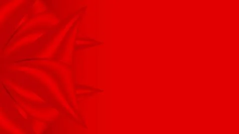 Modern abstract Red luxury background Stock Illustration