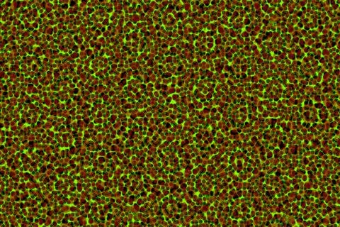 Modern abstract science texture Stock Illustration