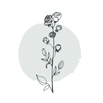 Modern abstract vector hand drawing flower, leaf and flower linear art Stock Illustration