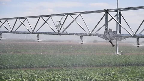 Modern agricultural irrigation system spraying in field Vídeo Stock 216908076