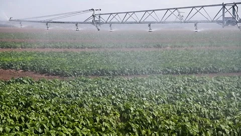 Modern agricultural irrigation system spraying in field 库存影片 238470286