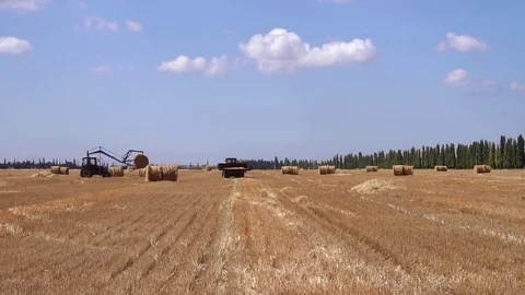 Modern agricultural tractor loading bale of hay on truck vehicle in fascinating Stock Footage 94881285