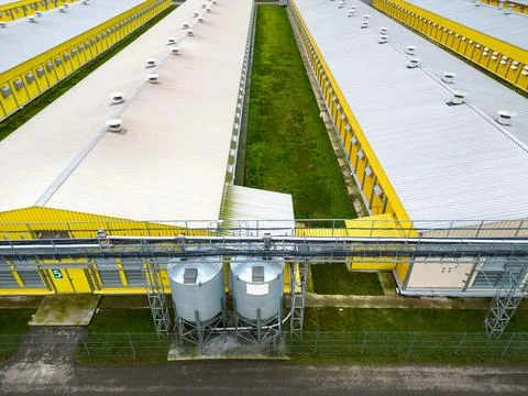 Modern agro-industrial complex top view. Flying a drone over a large chicken  Stock Photos