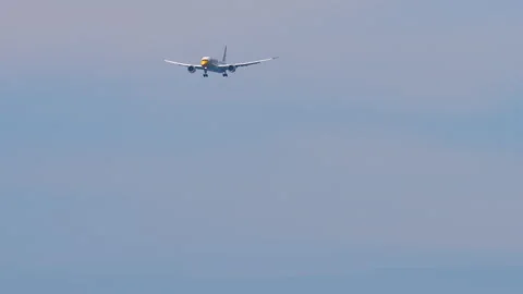 Modern airplane of Scoot approaching Stock Footage 329945414