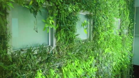 Modern and ecologic skyscrapers with many trees on every balcony. Bosco Stock Footage 201032054