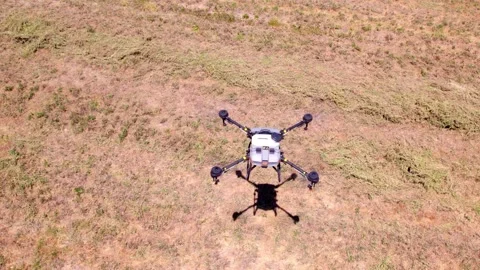 Modern and sophisticated drone analyzing crop parameters. High aerial Stock Footage 220500504