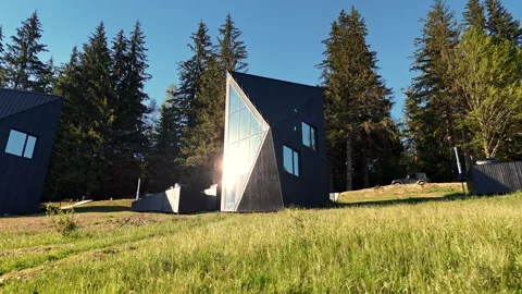 Modern angular cabins stand on a grassy hillside among tall pine trees, Strong Vídeo Stock 340039240