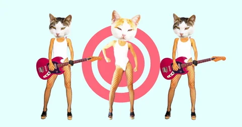 Cat Sexy Stock Videos – Royalty-Free HD & 4K Videos | Pond5