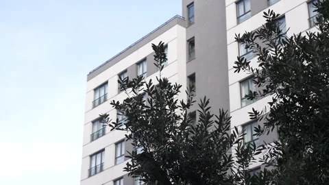 Modern Apartment Building with Olive Tree in Foreground Stock Footage 311433784