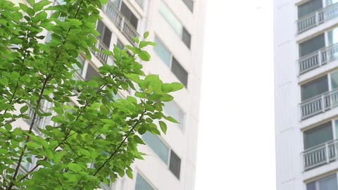 Modern Apartment Complexes with Lush Green Leaves in Seoul, South Korea Stock Footage 333774502