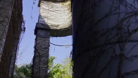 Modern architectural structure covered with climbing ivy plants. Stock Footage 330518038