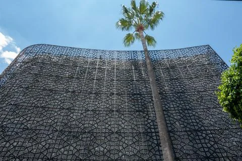 Modern architecture with patterned facade and palm tree against blue sky Stock Photos
