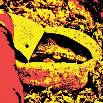 Modern Art Lizard Stock Illustration