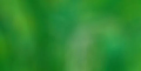 Modern Artistic Design with Textured Patterns and Gold Highlights Stock Illustration