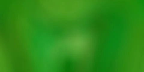 Modern Artistic Design with Textured Patterns and Gold Highlights Stock Illustration