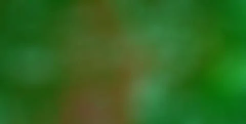 Modern Artistic Design with Textured Patterns and Gold Highlights Stock Illustration