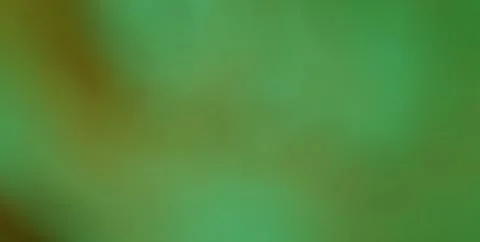 Modern Artistic Design with Textured Patterns and Gold Highlights Stock Illustration