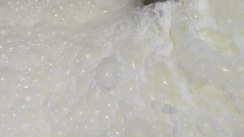 Modern automated production of soft mozzarella cheese. The brushes stir the milk Stock Footage 143991427