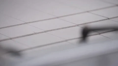 Modern automatic conveyor line for the production of package. Modern factory of Stock Footage 150737062