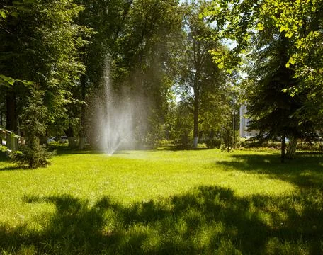 Modern automatic lawn irrigation device in the park. Water is sprayed over la Foto stock