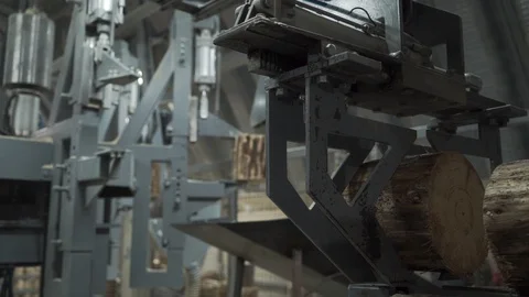 Modern automatic machine cuts raw wood Stock Footage 128075048