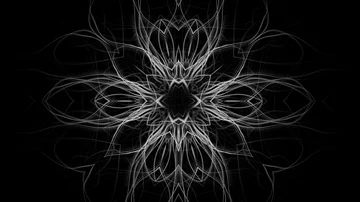 Modern background of abstract floral pattern - seamless looping (FULL HD) Video stock 86029956