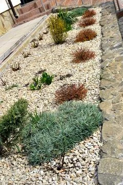 Modern backyard landscape design with stone raised garden bed, decorative plants Stock Photos