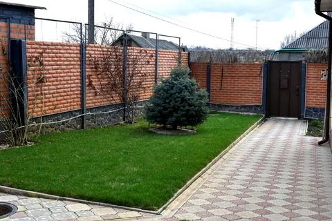 Modern backyard landscape design with stone raised garden bed, decorative plants Stock Photos
