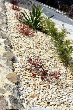 Modern backyard landscape design with stone raised garden bed, decorative plants Stock Photos