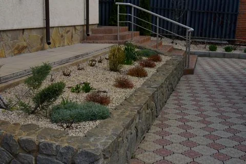 Modern backyard landscape design with stone raised garden bed, decorative plants Stock Photos