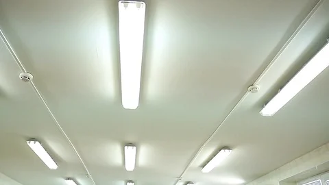 Modern bacteriological laboratory with microscopes. Video stock 127321083