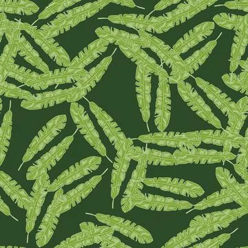 Modern Banana leaf seamless pattern with hand drawn tropical print. Fashionab イラスト素材