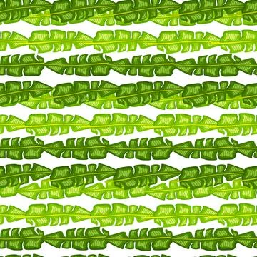 Modern Banana leaf seamless pattern with hand drawn tropical print. Summer ar Illustrazione stock
