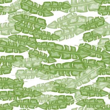Modern Banana leaf seamless pattern with hand drawn tropical print. Summer ar 스톡 일러스트