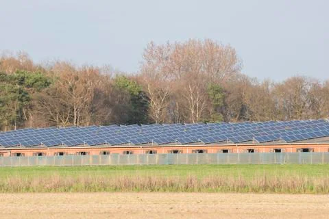 Modern barn. Stock Photos