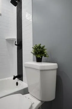 Modern bathroom design featuring a white toilet and a small potted plant re.. 库存照片