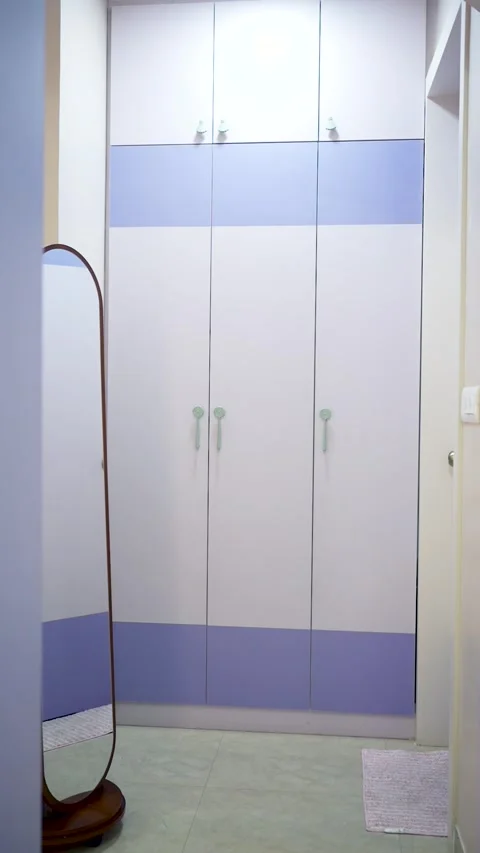Modern Bedroom Wardrobe Design Stock Footage 341094072